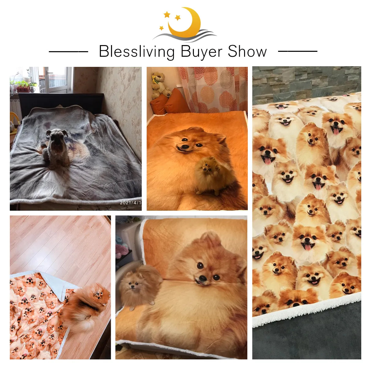 BlessLiving Pomeranian Throw Blanket 3D Printed Sherpa Fleece Bed Blanket Animal Dog Plush Bedspread Brown Bedding 150x200cm